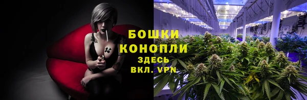 spice Осинники