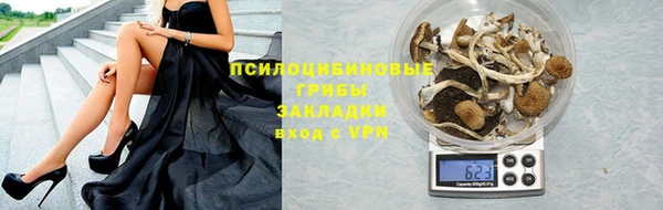 spice Осинники