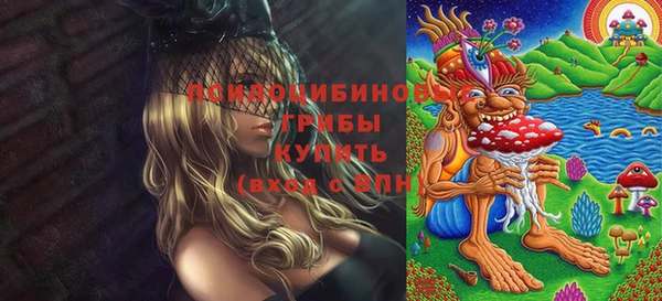 мескалин Осташков