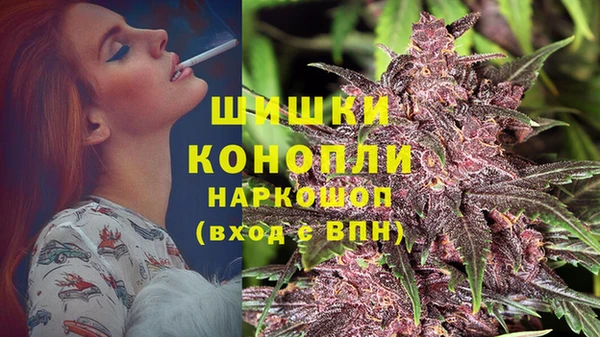 гашик Пролетарск