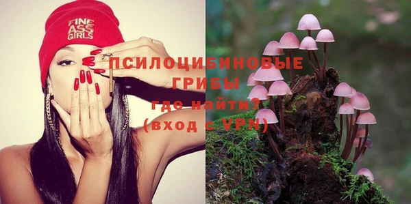 прущие грибы Нягань