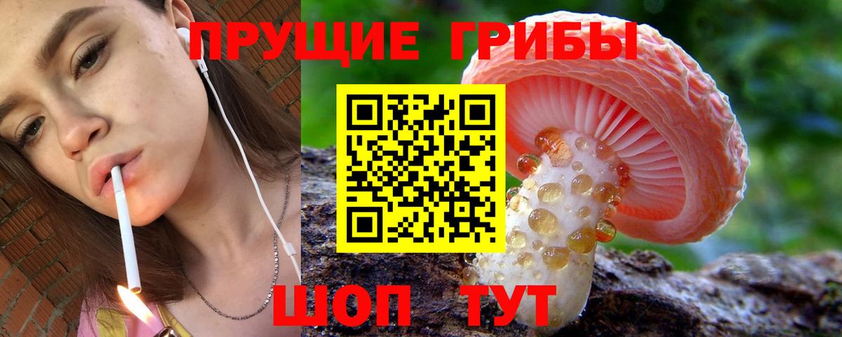 Псилоцибиновые грибы мухоморы Ржев